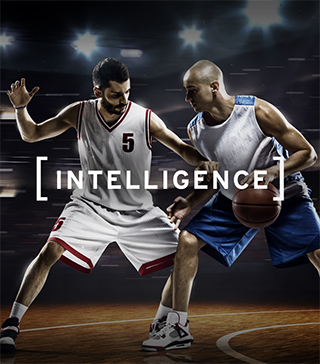 Intelligence